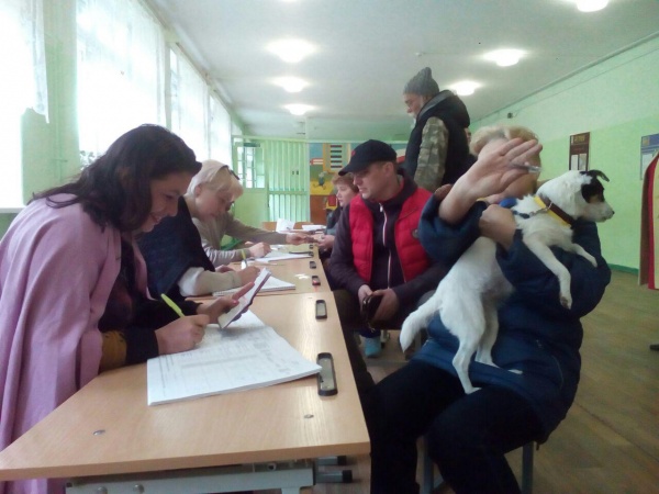 праймериз Единой России избирательный участок голосование|Фото:Накануне.RU