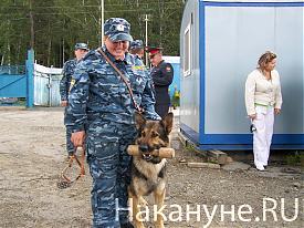 Фото:  Накануне.RU