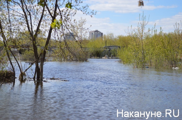 Какая река разлилась в кургане. Паводок Курган. Курган паводок Нива сады. Паводок в Кургане фото. Пиковые наводнения Курган.